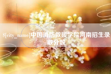 甘南中国消防救援学院河南招生录取分数