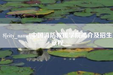 甘南中国消防救援学院简介及招生章程