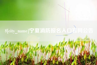甘南宁夏消防报名入口官网公告