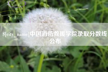 甘南中国消防救援学院录取分数线公布