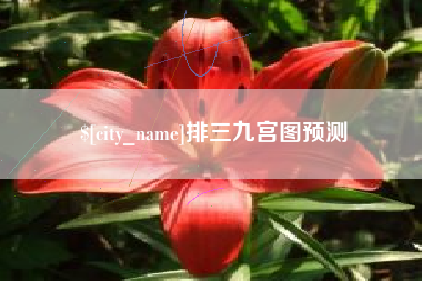 甘南排三九宫图预测