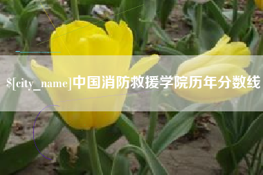 甘南中国消防救援学院历年分数线