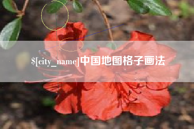 甘南中国地图格子画法