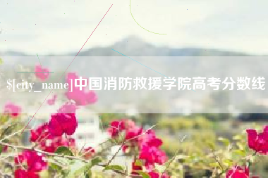 甘南中国消防救援学院高考分数线