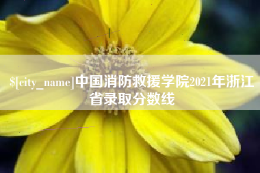 甘南中国消防救援学院2021年浙江省录取分数线