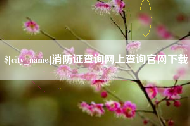 甘南消防证查询网上查询官网下载