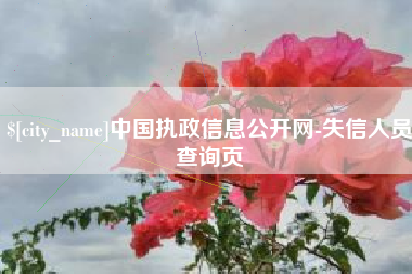 甘南中国执政信息公开网-失信人员查询页