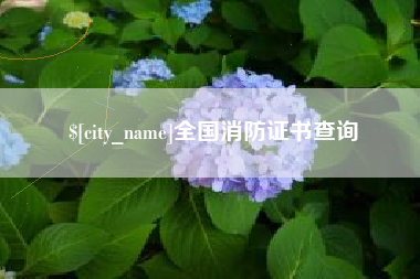 甘南全国消防证书查询