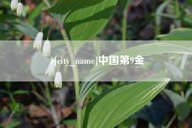 甘南中国第9金