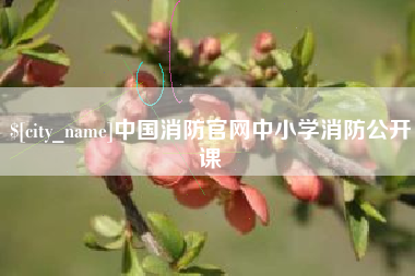 甘南中国消防官网中小学消防公开课