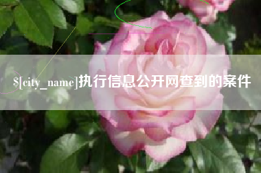 甘南执行信息公开网查到的案件