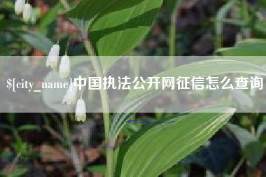 甘南中国执法公开网征信怎么查询