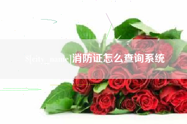 甘南消防证怎么查询系统