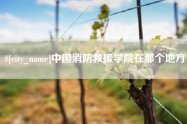 甘南中国消防救援学院在那个地方