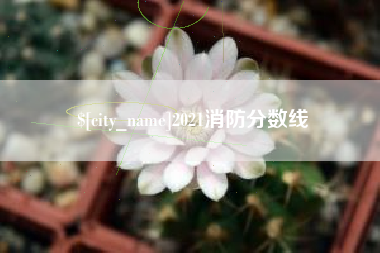 甘南2021消防分数线