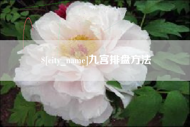 甘南九宫排盘方法