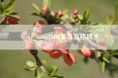 甘南2021年九宫格风水