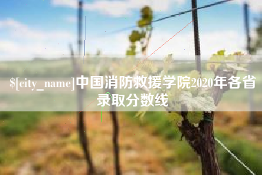 甘南中国消防救援学院2020年各省录取分数线