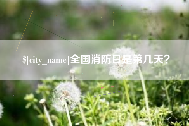 甘南全国消防日是第几天？