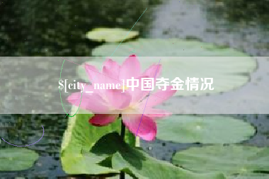 甘南中国夺金情况