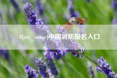 甘南中国消防报名入口