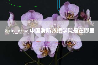 甘南中国消防救援学院是在哪里