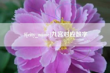 甘南九宫对应数字