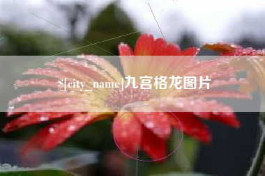 甘南九宫格龙图片