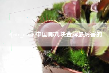 甘南中国哪九块金牌最厉害的