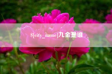 甘南九金是谁