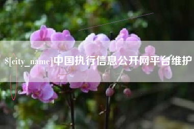 甘南中国执行信息公开网平台维护