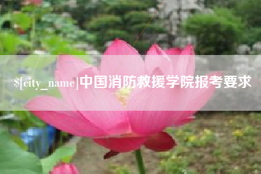 甘南中国消防救援学院报考要求