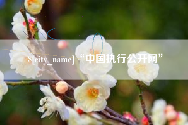 甘南“中国执行公开网”