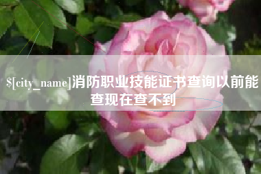 甘南消防职业技能证书查询以前能查现在查不到