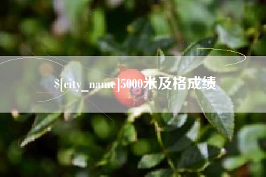 甘南5000米及格成绩