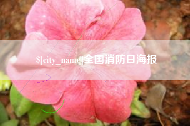 甘南全国消防日海报