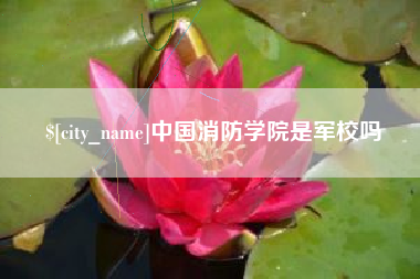甘南中国消防学院是军校吗