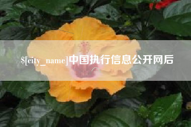 甘南中国执行信息公开网后