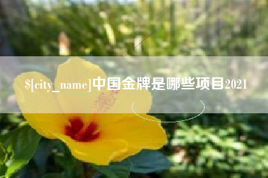 甘南中国金牌是哪些项目2021