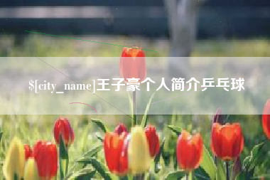 甘南王子豪个人简介乒乓球