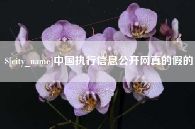 甘南中国执行信息公开网真的假的