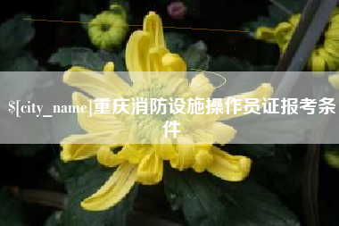甘南重庆消防设施操作员证报考条件
