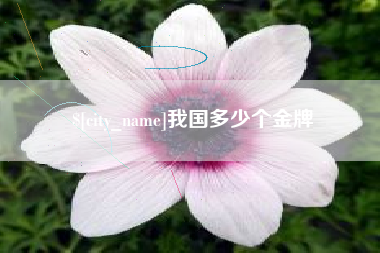 甘南我国多少个金牌
