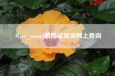 甘南消防证查询网上查询