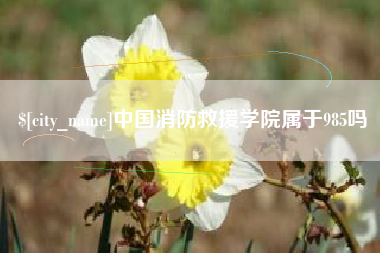 甘南中国消防救援学院属于985吗