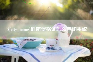 甘南消防资格证怎么查询系统