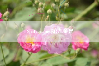 甘南第九金是