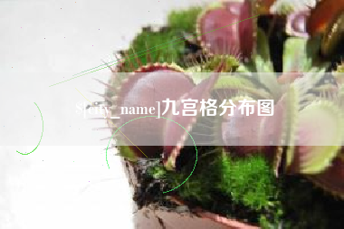 甘南九宫格分布图