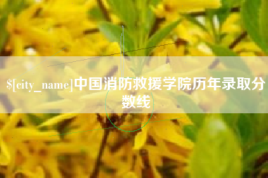 甘南中国消防救援学院历年录取分数线