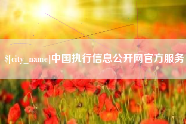 甘南中国执行信息公开网官方服务